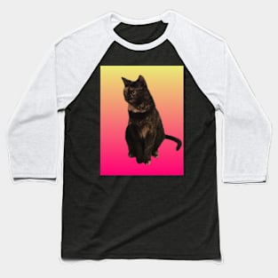 Pretty Little Tortie Baseball T-Shirt